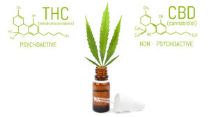 CBD and THC Products Online with True Altitude's online dispensary that ships to all 50 states